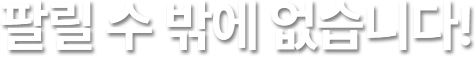 ȸ  ۿ ϴ!